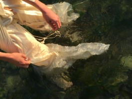 lukas hofmann / saliva