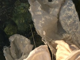 lukas hofmann / saliva