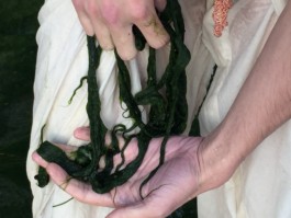 lukas hofmann / saliva