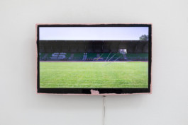 lukas hofmann / saliva