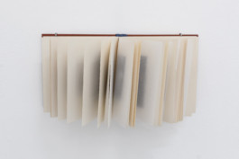 lukas hofmann / saliva