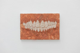 lukas hofmann / saliva